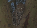 Kenya39.jpg